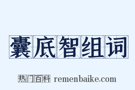 囊底智组词是什么意思的图片